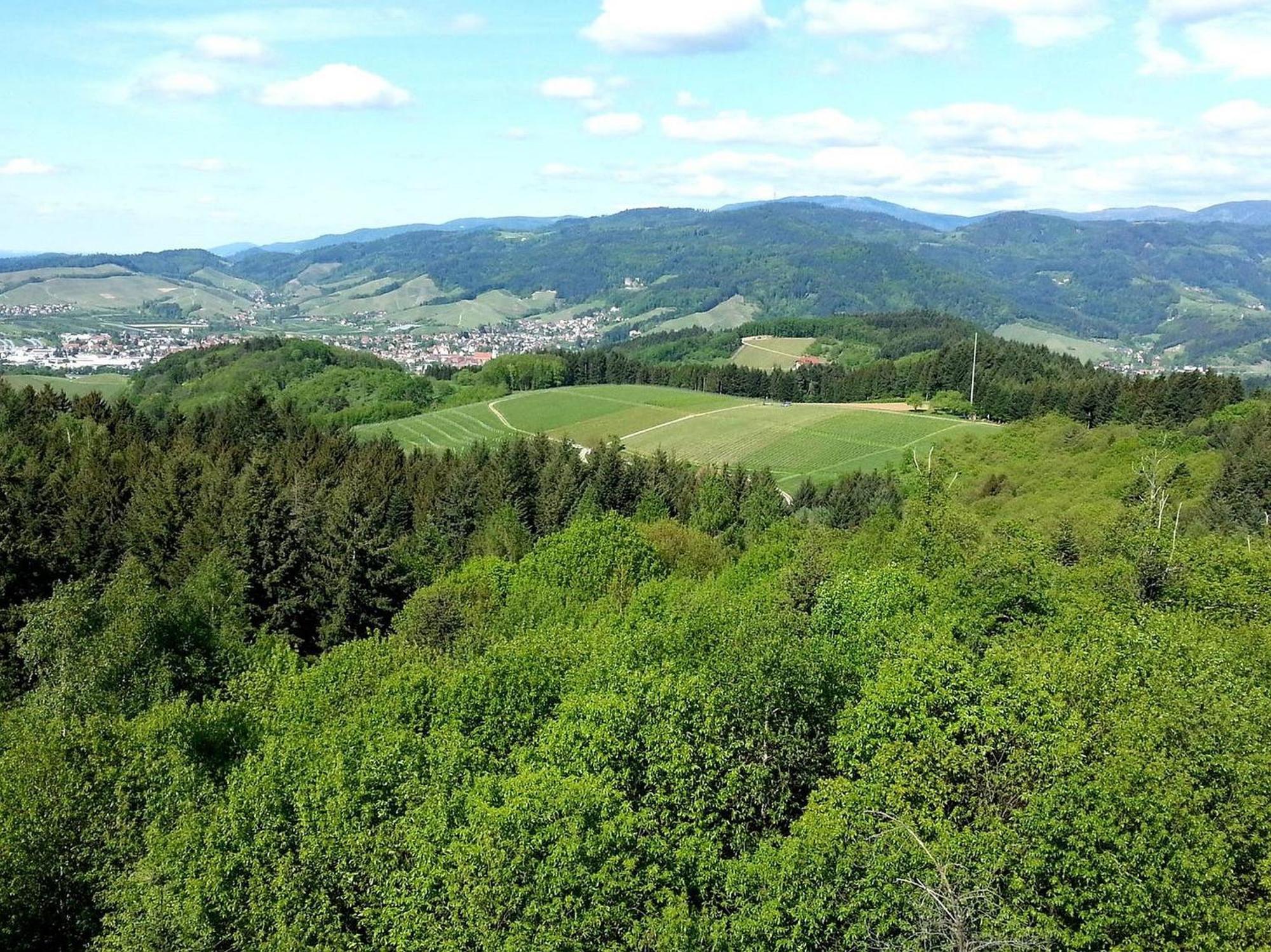 Ferienhof Vordere Alm Oberkirch  Exterior photo