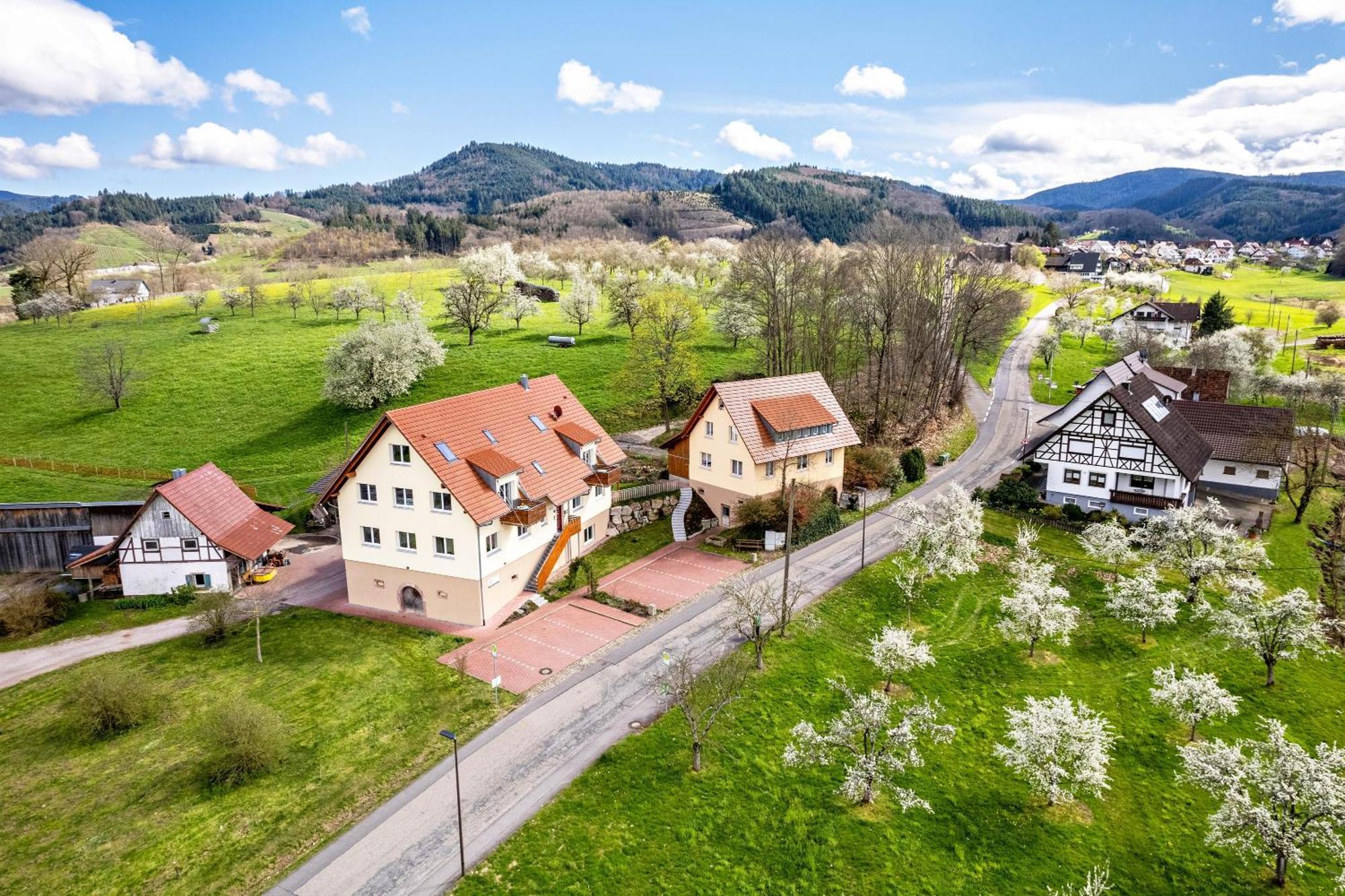 Ferienhof Vordere Alm Oberkirch  Exterior photo