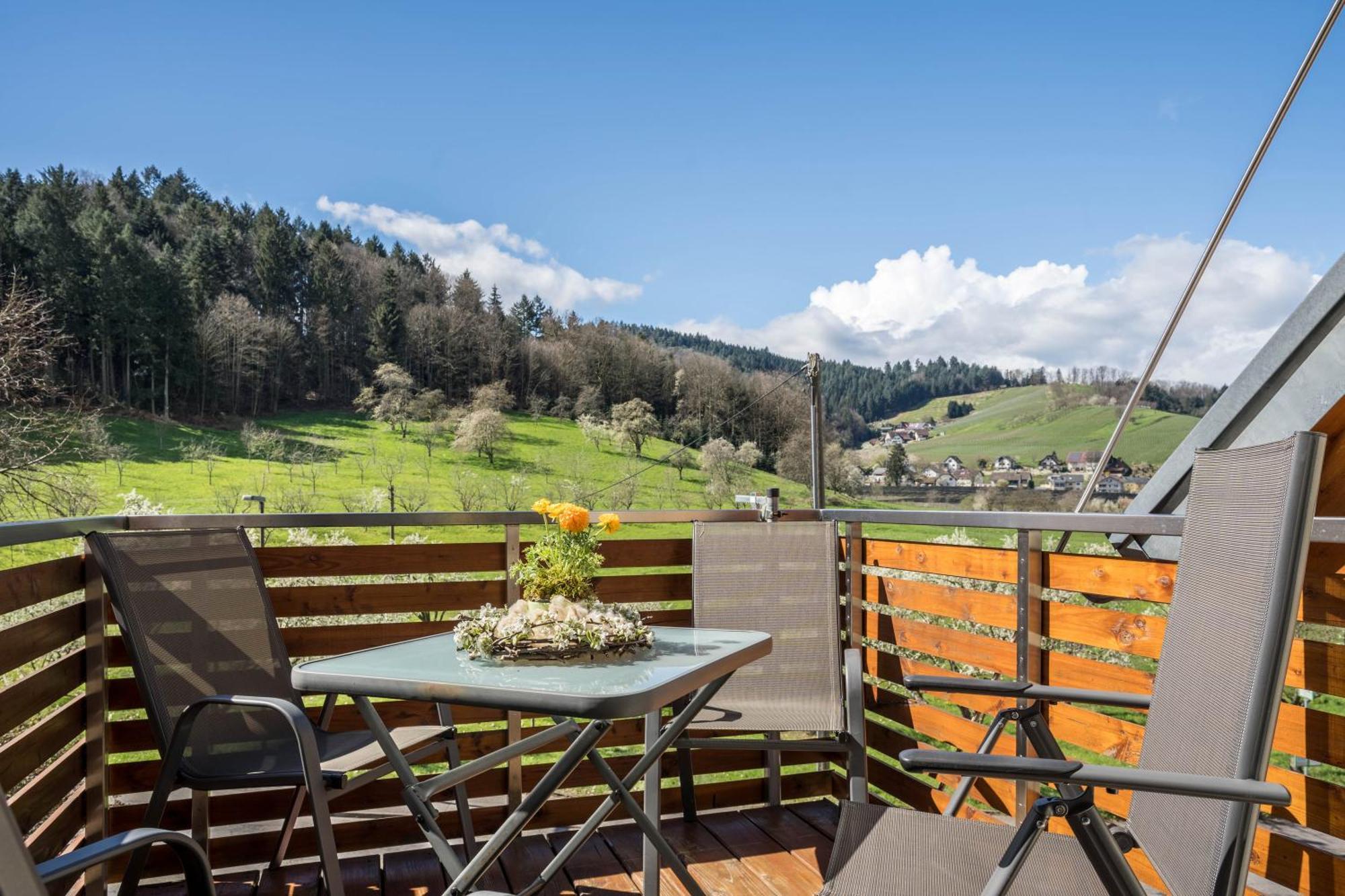 Ferienhof Vordere Alm Oberkirch  Exterior photo